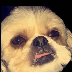 Meet your Posher, Sara